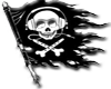 dub pirate flag