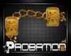 [P] NuggetChain