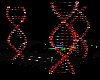 RED/SILV DNA LIGHT