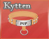 -K- Pup Pastel Collar