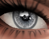 Sexy Eyes