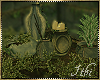 -I- Greenhouse Plants 3 -I- Greenhouse Plants 3