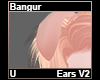 Bangur Ears V2