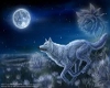 Wolf moon pic