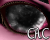 [C.A.C] PinkShar Eyes M