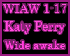 Katy - Wide awake Remix
