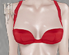 Red Satin Bra