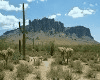[MLD] Desert Backdrop