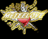 MzTeeLove Custom Necklac