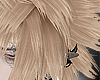 𝔁. Punke blonde