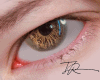 T. Earth Eyes