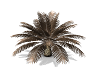 Animated Bronze Palm