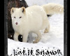 Arctic Wolf Snow Frame