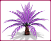 X+ Palm Tree 2