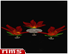 NMS- Flowers Chairs