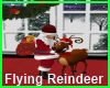 [BD] Flying Reindeer