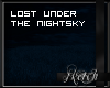 Lost Under The Nightsky