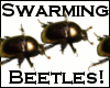 Beetles Egyptian Scarabs