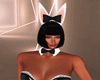 *C*Bunny Full Outfit