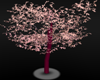 Pink Tree Avi