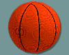 KC- Basketball Drv