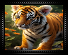 🐅 Tiger Background