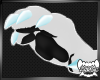 ARCTII | Paws