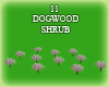 (IKY2) 11 DOGWOODS SHRUB