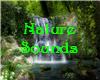 ~d~ Nature Sounds