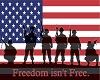 Freedom isnt Free Poster