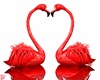 ʑ Flamingos Red anim