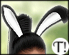 T! Bunny Ears Black