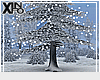 [i] Winter Tree w/ Light
