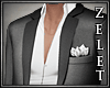 |LZ|Open Grey Suit