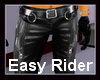 !~TC~! Easy Rider DB