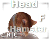 R|C Hamster Brown Head F