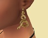 CW26 Gold Earings