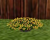 Barrel of Sunflowers