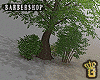 Real Tree
