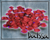 !D!Red Rose Petals