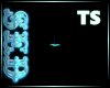 |S| Teal Spark TS