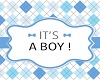 :J: Gender Reveal (boy)