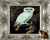 219 Night Owl Framed