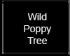 Wild Poppy Tree