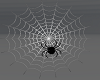 FG~ Spiderweb Derv