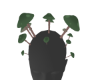 SIGNOFDECOMP 6