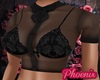 !PX BLACK BLAKE BUSTY