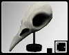 ` Bird Skull Display