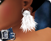 ~D3~Feather Pride Earrin