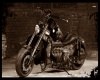 Harley Moto Flame